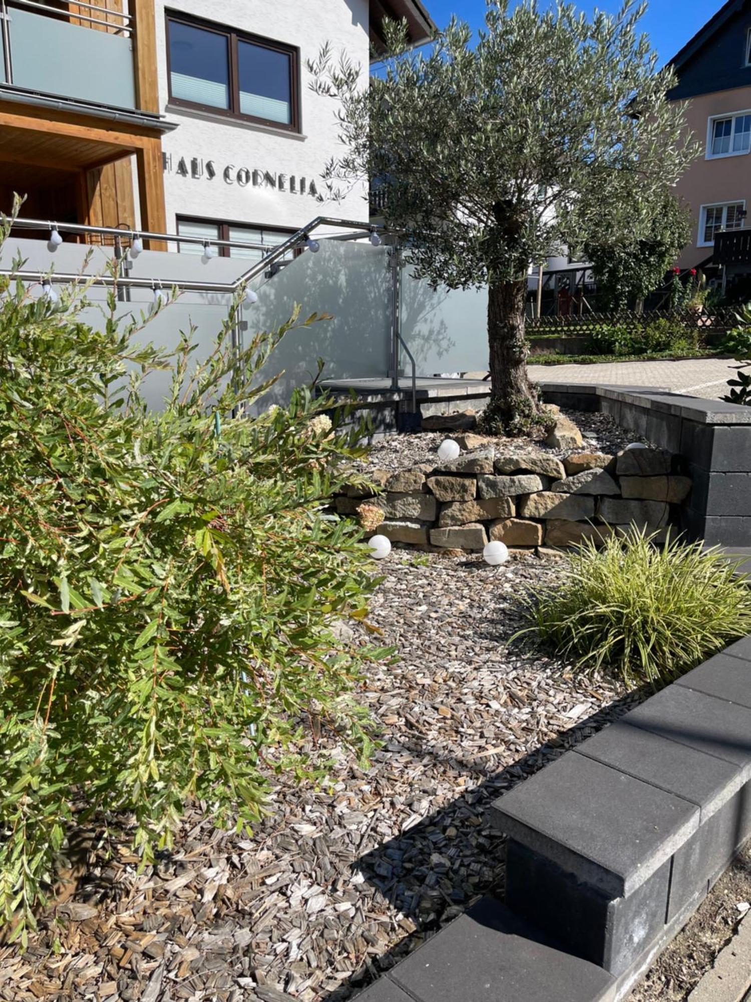 Haus Cornelia Apartman Einruhr Kültér fotó